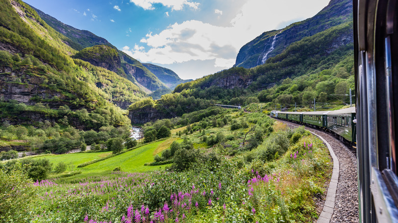 Window view from the Flåm Railway, Norway