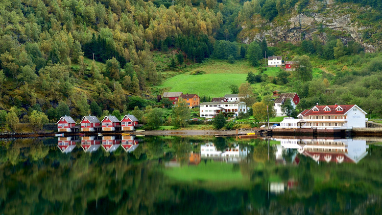 Houses sitting near the water in Flåm, Norway