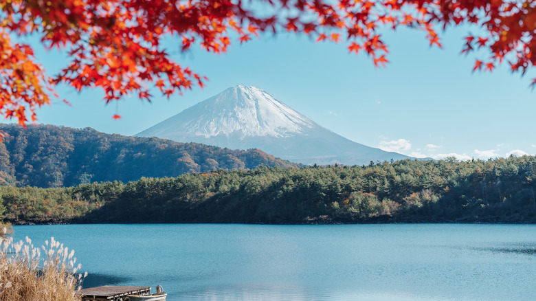 Mount Fuji in Japan with red leaves framing the image