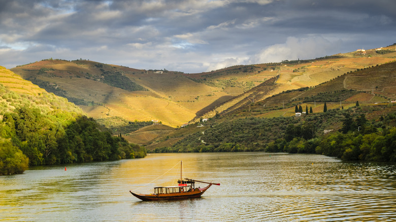 A traditional wooden boat on the Douro River in front of terraced vineyards