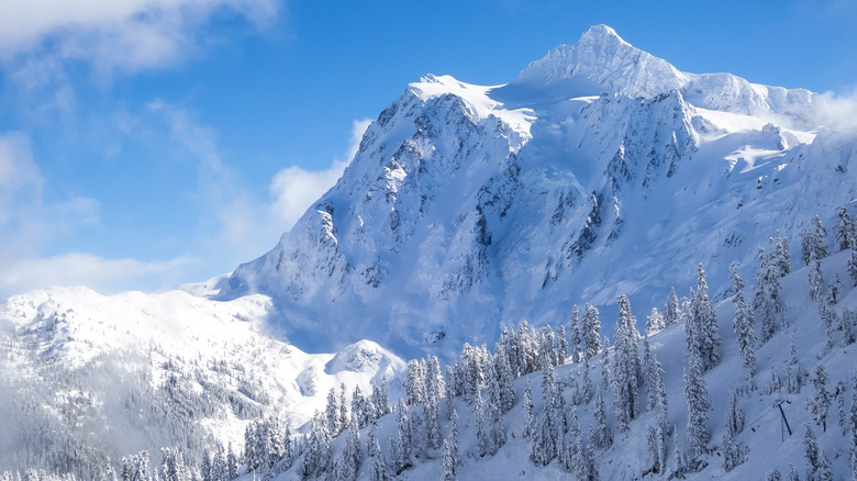 Snowy Mount Shuksan, North Cascades