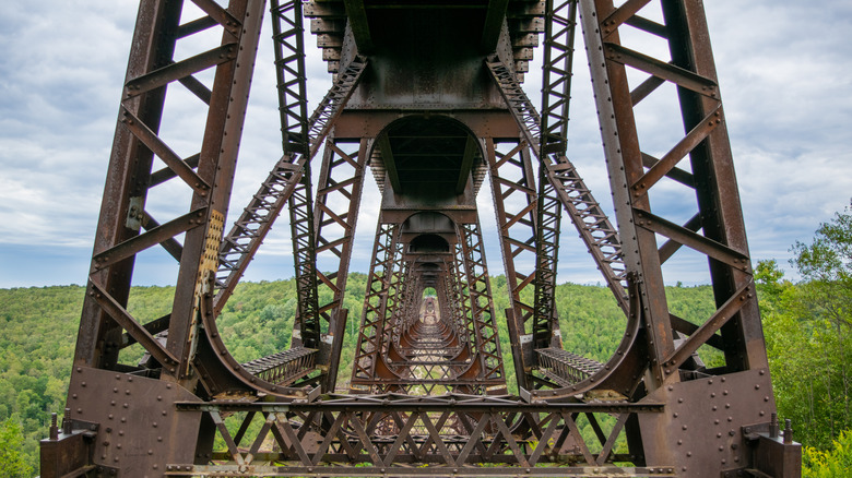 Kinzua Bridge tunnel viewpoint foliage