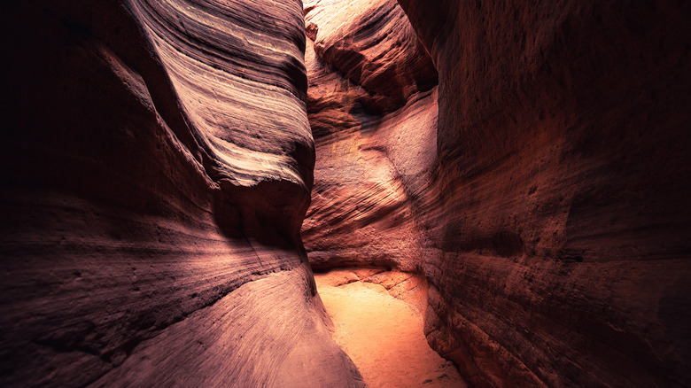 Curving walls of a slot canyon