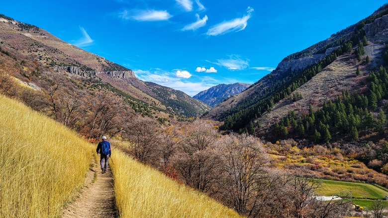 Logan Canyon Utah hiking trail