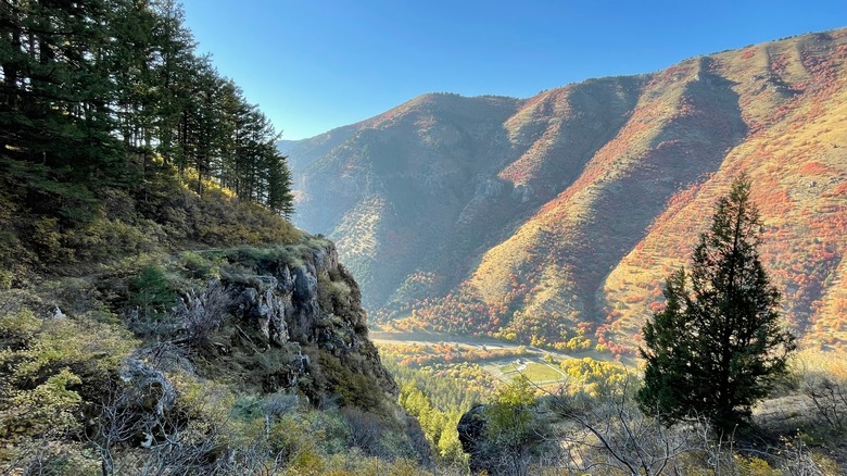 Crimson Trail in Logan Canyon Utah