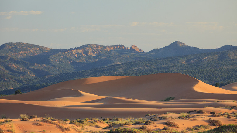 Coral Pink Sand Dunes State Park with mountains in the background