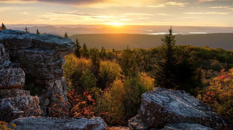 Sunrise mountain view at Dolly Sods Wilderness