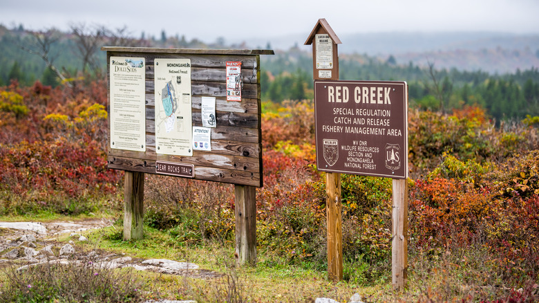 Dolly Sods Wilderness trail signs fall folaige