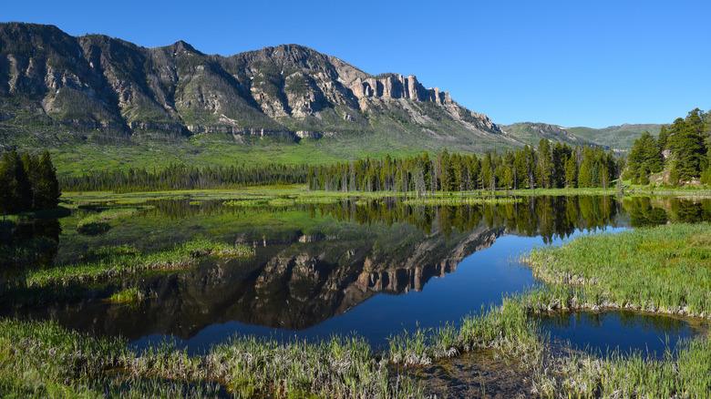 Vista from alongside the Chief Joseph Scenic Highway through Sunlight Basin, Wyoming