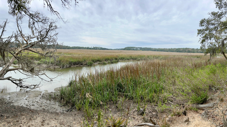 Wassaw National Wildlife Refuge near Savannah, GA