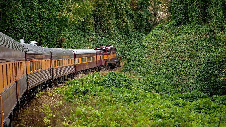 The Smoky Mountains Railroad traversing North Carolina