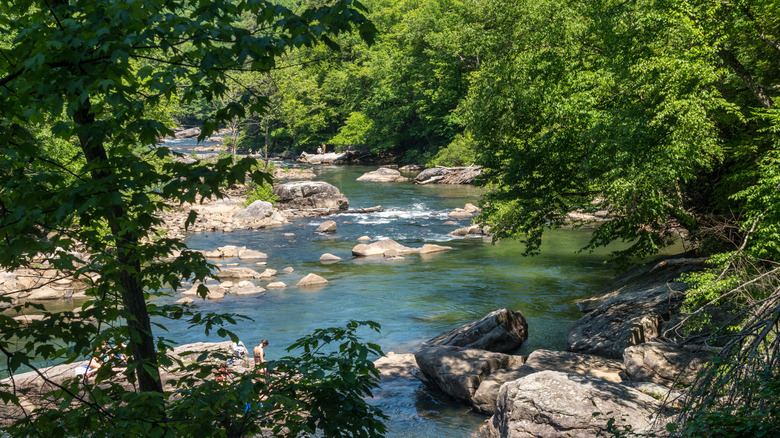 River in Audra State Park in Buckhannon