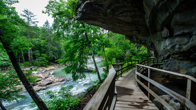 Hiking trail in Audra State Park in West Virginia