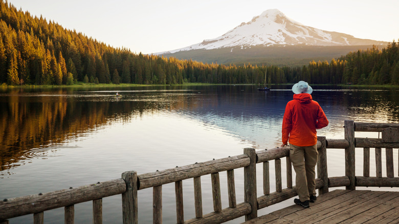 Person admiring Mt. Hood from Trillium Lake