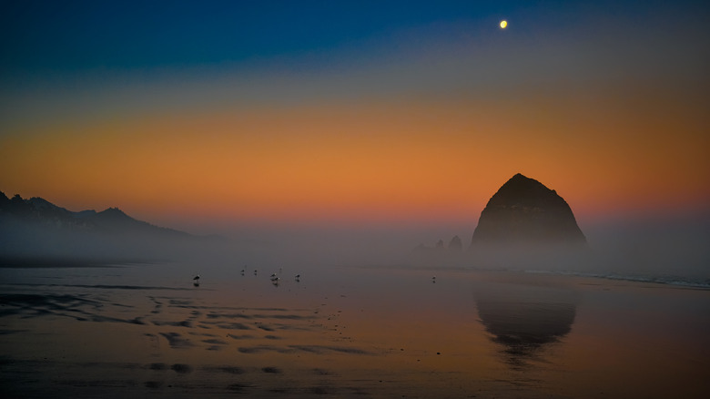 Haystack Rock in Cannon Beach, Oregon