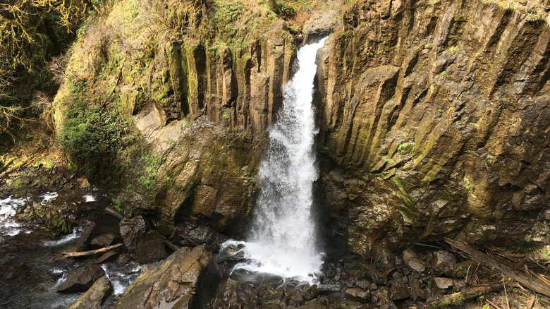 Drift Creek Falls