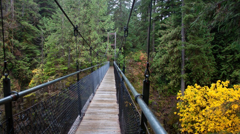 Drift Creek Falls bridge