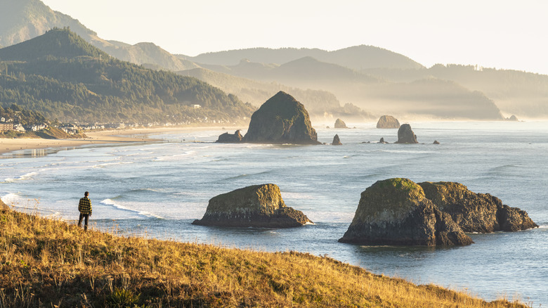 Person on hill overlooking Pacific and Cannon Beach, Oregon