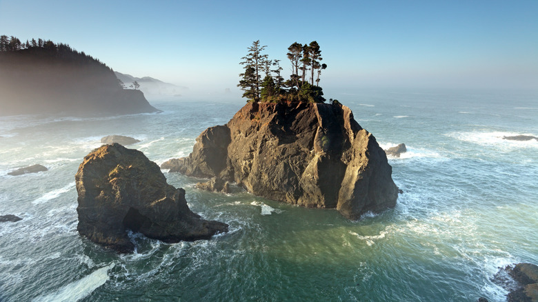 Rock formation topped with trees in Pacific along the Oregon coast