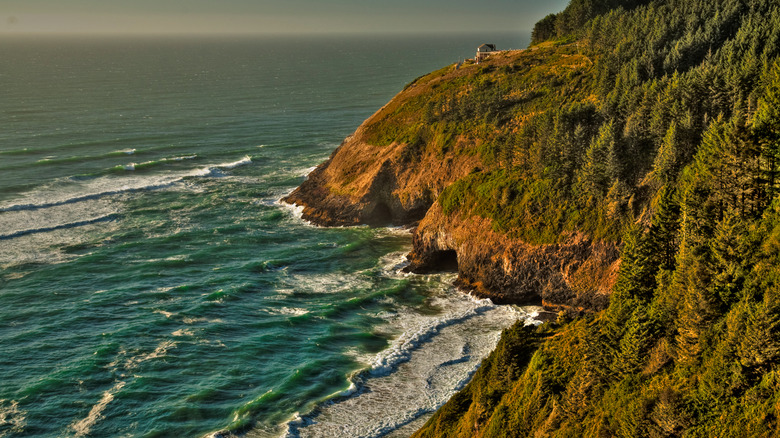 Florence, Oregon, coast and sea lion caves