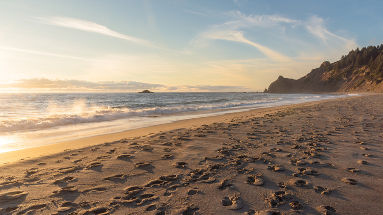 Beach in Lincoln City, Oregon