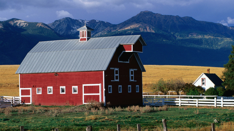 barn in a field with mountains behind it in Joseph, Oregon