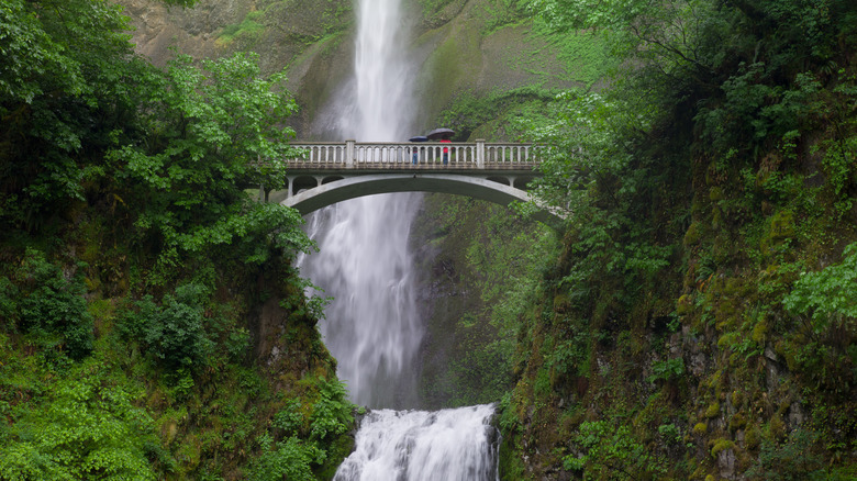 Benson Bridge over Multnomah Falls