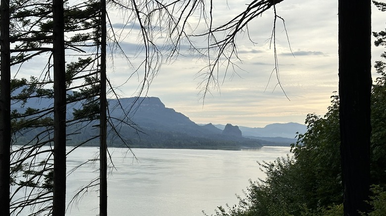 Columbia River Gorge from Multnomah Falls