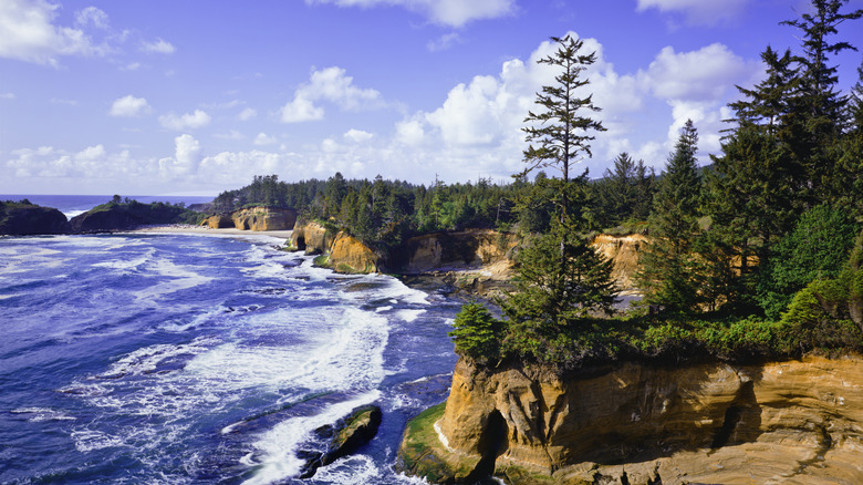 Rocky coast of Depoe Bay