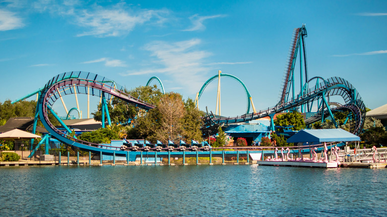 Mako, SeaWorld Orlando