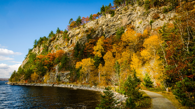 A trail near Greenville, Maine