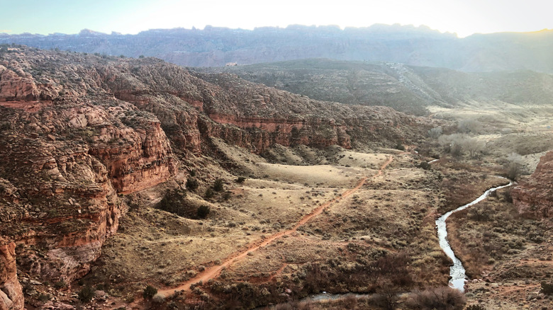 Millcreek Canyon trail in Utah