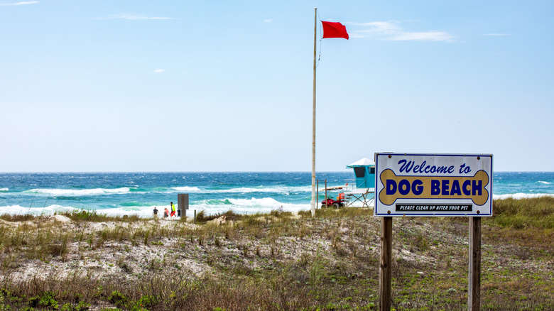 A red flag along the shore of Panama City Beach