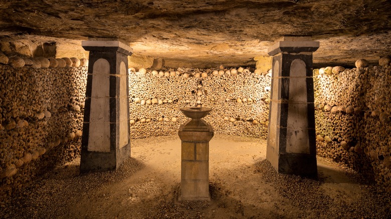 wall of bones paris catacombs