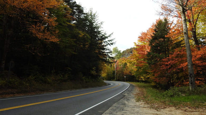 A winding road through the Adirondacks in autumn