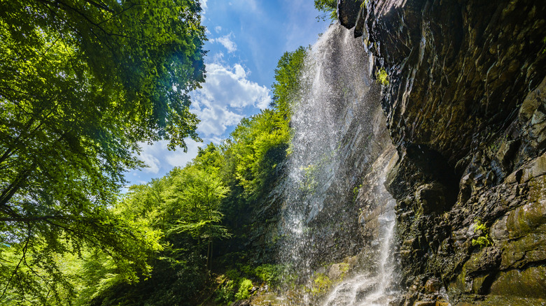 Waterfall in Lehigh Gorge State Park