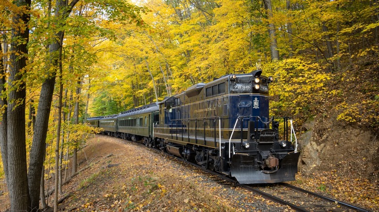 Colebrookdale Railroad train moving through trees