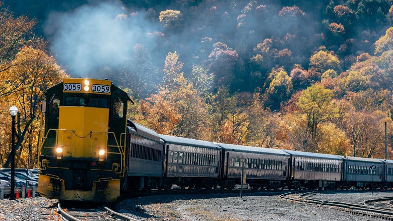 Lehigh Gorge train rounding a bend