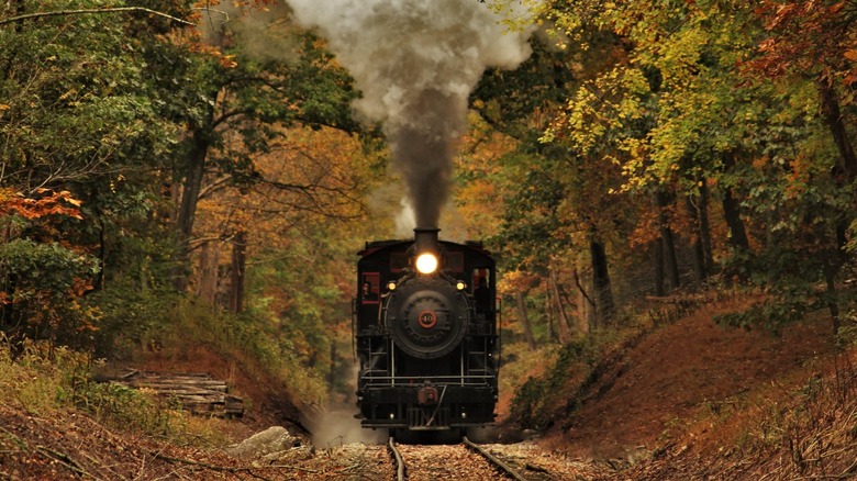 New Hope train surrounded by fall foliage