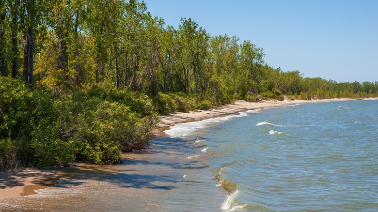 Sandy shores at Presque Isle State Park, Erie, Pennsylvania