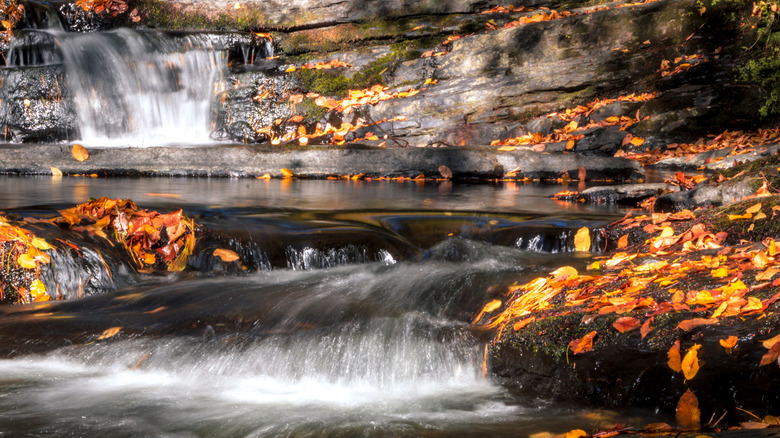 A stream of water near Raymondskill Falls