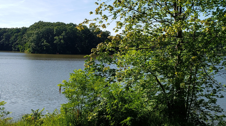 Loyalhanna Lake in Saltsburgh, PA