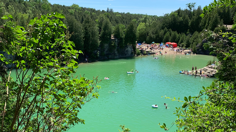 View of Elora Quarry in the summer.