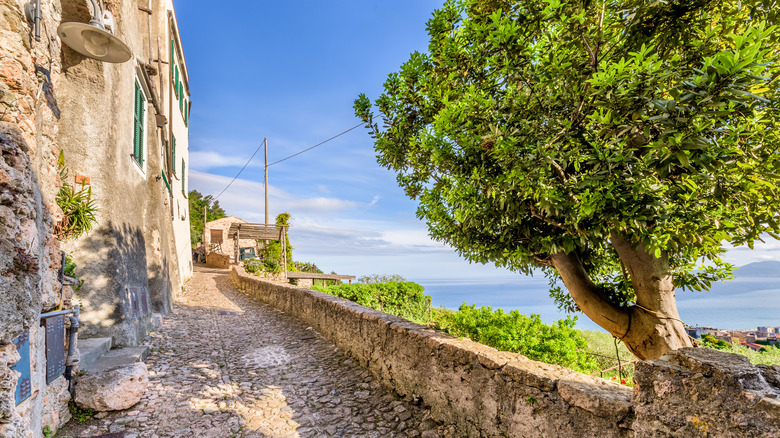 Cobbled street framed by old houses and a tree, overlooking the sea from Verezzi