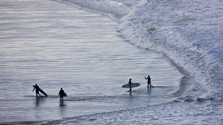 Woolacombe Beach Devon surfing