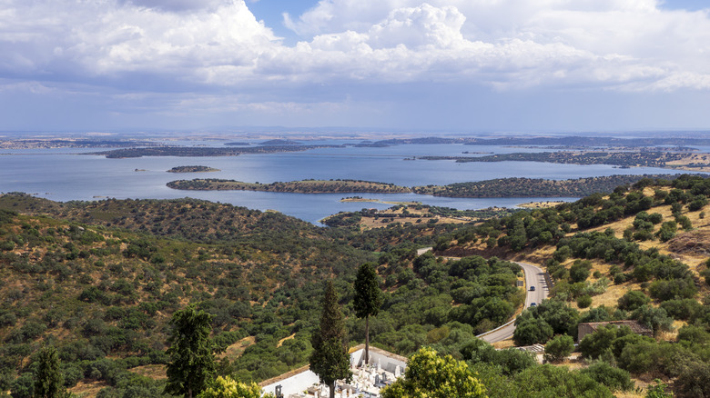 Aerial view of lake