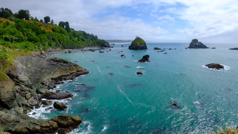 Rocky cliffs and forests in Trinidad, California