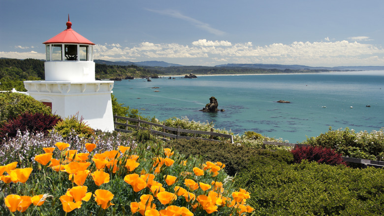 Trinidad Head Lighthouse in Northern California