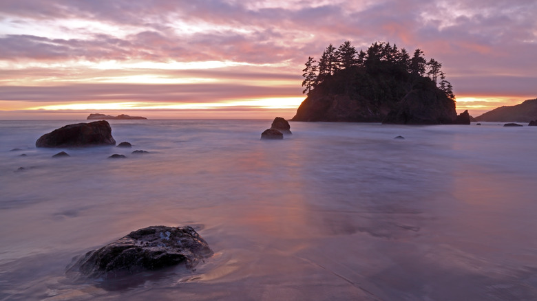 Seastacks at Trinidad State Beach at sunset