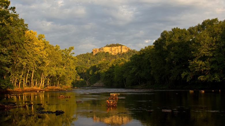 Heber Springs river and forest landscape